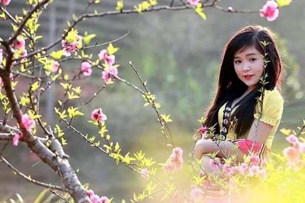 Nhạc Tết - Nhạc Xuân Hay Nhất screenshot 6