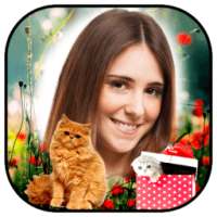 Cat Photo Frames on 9Apps