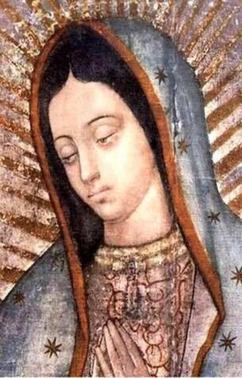 Virgen de Guadalupe Foto Gratis screenshot 2