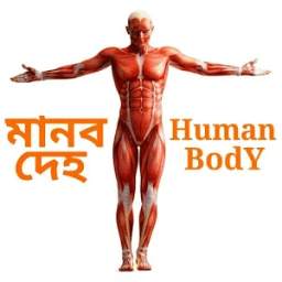 মানবদেহ (Human body)