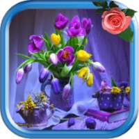 Still Life Images Wallpapers on 9Apps