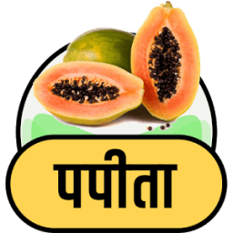 पपीता के फायदे icon