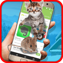 ikon Cat vs Mouse on Screen