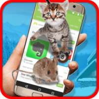 Cat vs Mouse on Screen