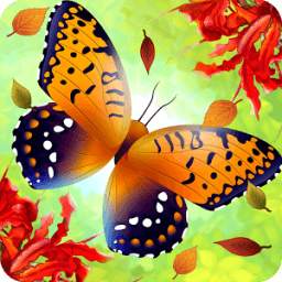 Flutter: Butterfly Sanctuary
