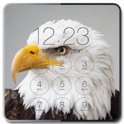 Eagle Lock Screen Background иконка