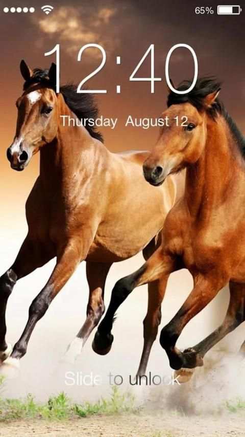 Horse PIN Lock 3 تصوير الشاشة