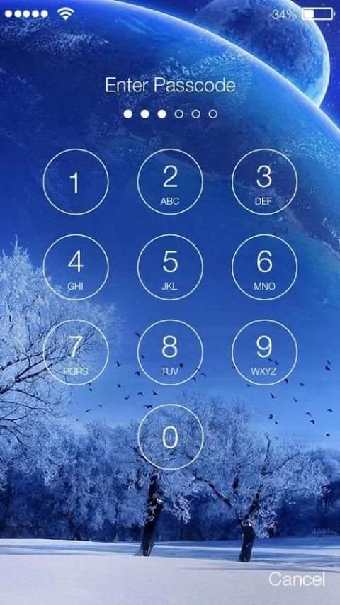 Winter Frost Snowfall Screenlock – PIN Lock Screen screenshot 5