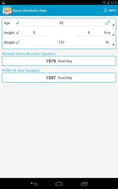 BMR Calculator screenshot 2