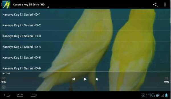 Kanarya Kuş Zil Sesleri HD screenshot 3
