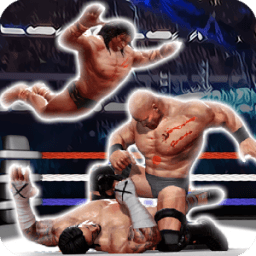 Fighting and Wrestling Championship icon