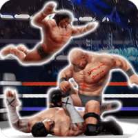 Fighting and Wrestling Championship