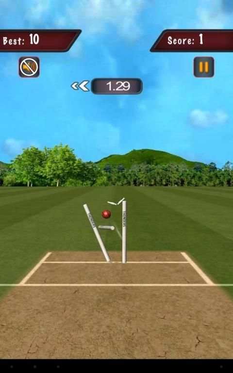 Flick Cricket 3D T20 World Cup screenshot 1