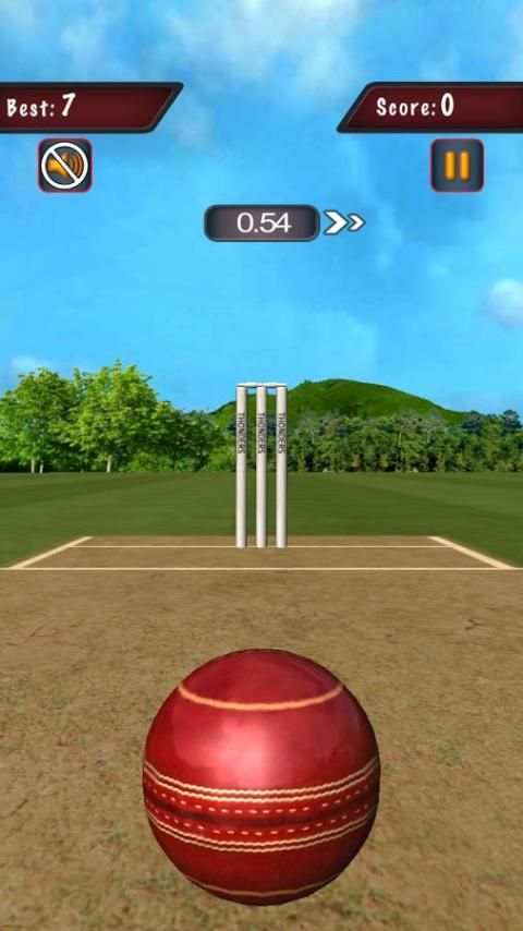 Flick Cricket 3D T20 World Cup screenshot 5