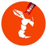 Guide for Hornet - Gay Social Network