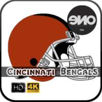 HD Cincinnati Bengals Wallpaper