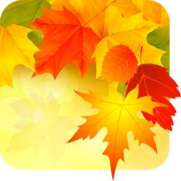 Autumn Backgrounds & Wallpapers