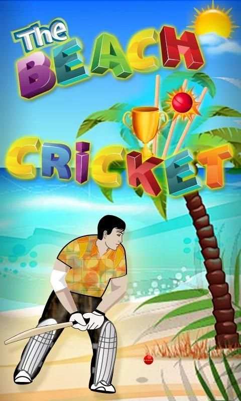 The Beach Cricket screenshot 1