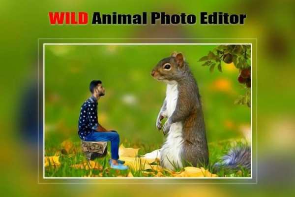 Wild Animal Photo Editor : Frame, Sticker, Effect 1 تصوير الشاشة