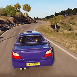 ikon World Dirt Rally 7