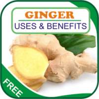 Ginger Uses & Benefits on 9Apps