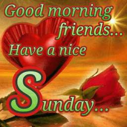 Happy Sunday Greetings