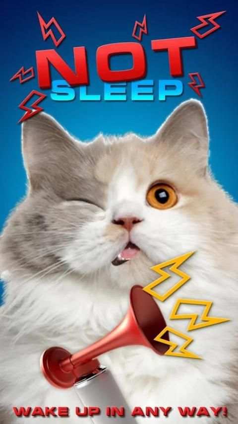 Not Sleep screenshot 3