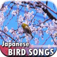 Super Bird Songs Japanese on 9Apps
