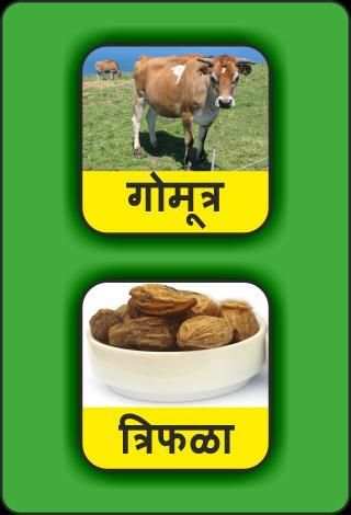 Healthy Food in Marathi screenshot 2