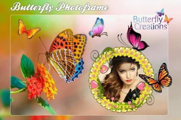 Butterfly Photo Frame 2018 - screenshot 1