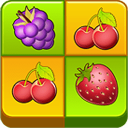 Fruit Link icon