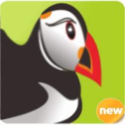 Guide For Puffin Web Browser puffin