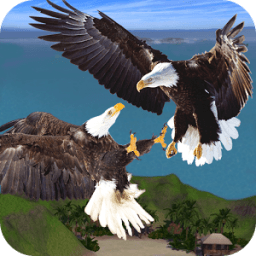 Birds Fight أيقونة