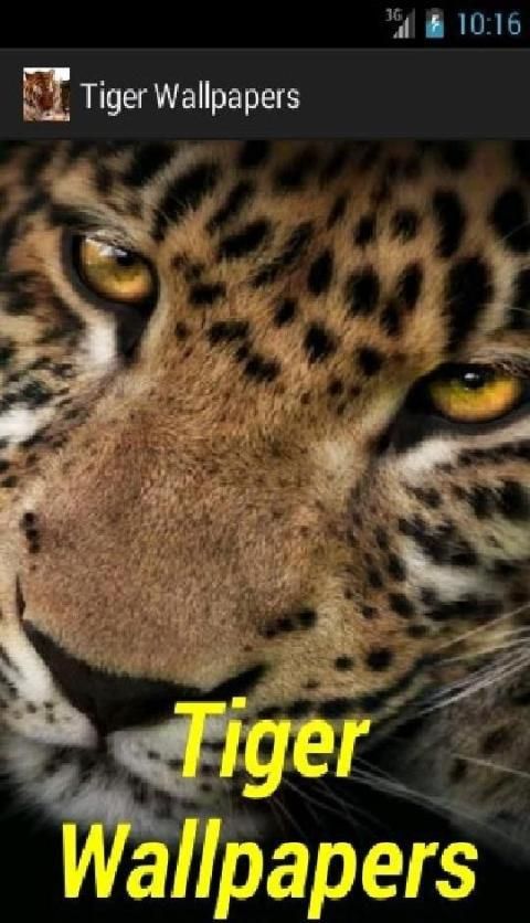 Tiger Wallpapers screenshot 3