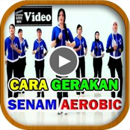 Video Gerakan Senam Aerobik