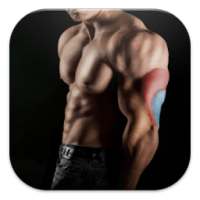 Bodybuilding & Fitness Workout on 9Apps