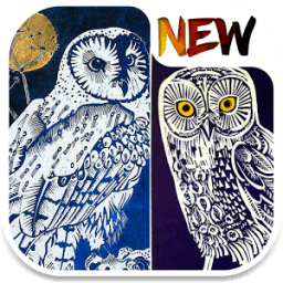 Owl Wallpaper icon