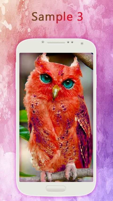 Owl Wallpaper screenshot 3