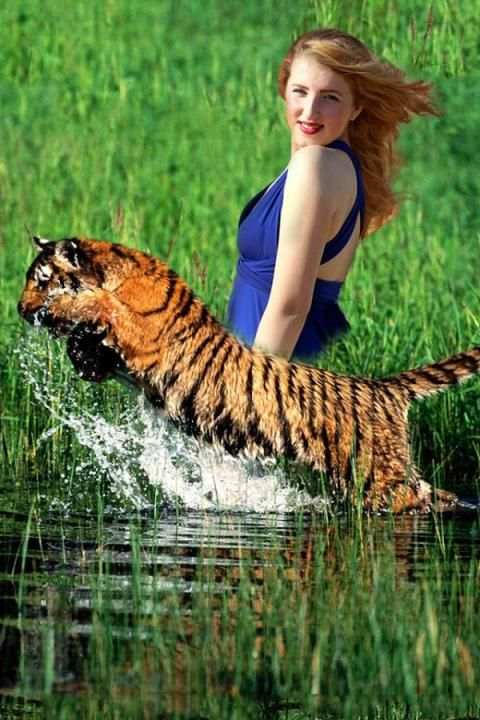 Wildlife Photo Frames скриншот 1