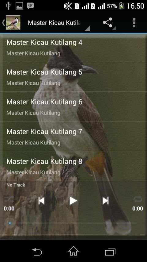 Master Burung Kutilang Gacor screenshot 1