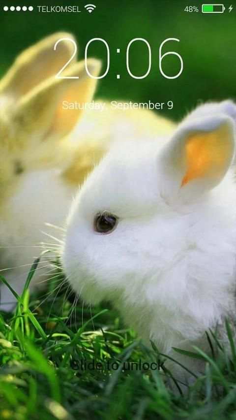Rabbit Pop Lock Screen screenshot 1