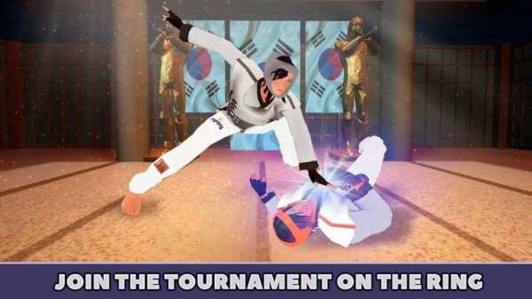 Taekwondo Fighting Tiger 3D screenshot 5