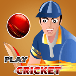 Play Cricket आइकन