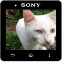 Media Viewer for Informer Pro on 9Apps