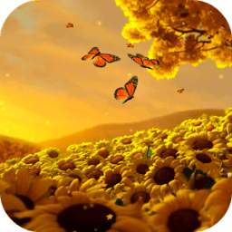 Sunflowers HD