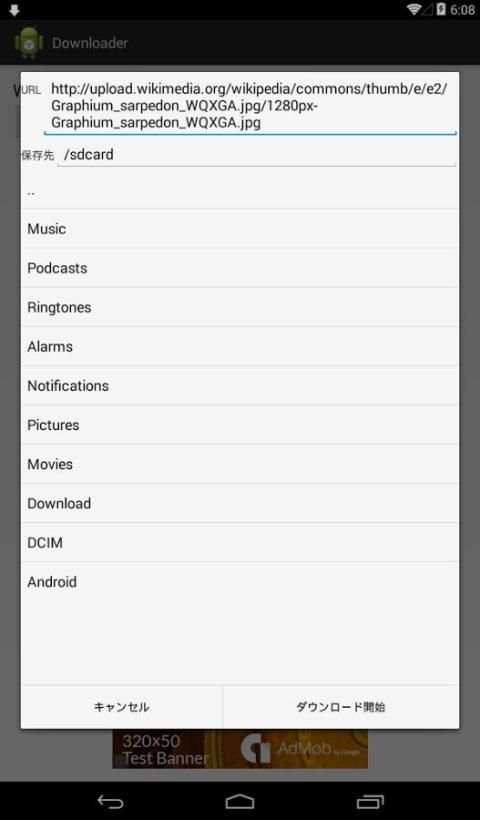 Downloader screenshot 2