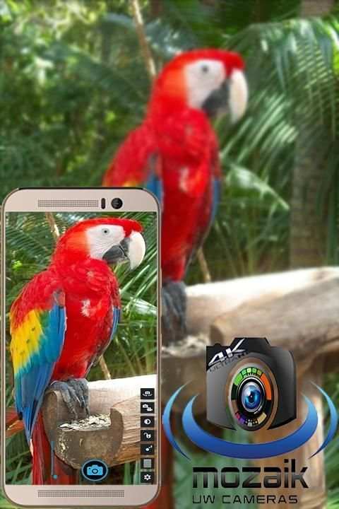 Camera Mozaik screenshot 5