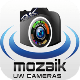 ikon Camera Mozaik