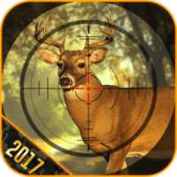 Deer Hunting King 3D logo