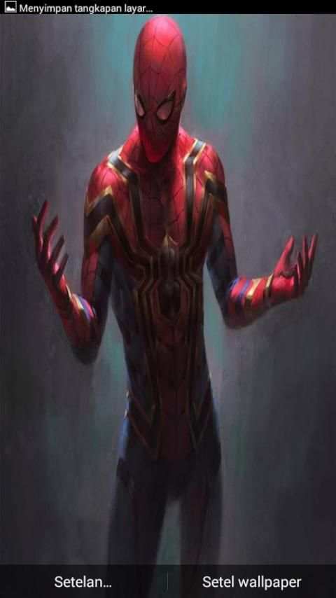 Spider Wallpapers HD 2018 screenshot 8